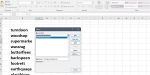 Selecting the SpellCheck Macro in Excel for automatic spell checking