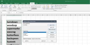 how to spell check in excel using the spell check tool
