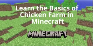 the basics of a chicken farm in minecraft