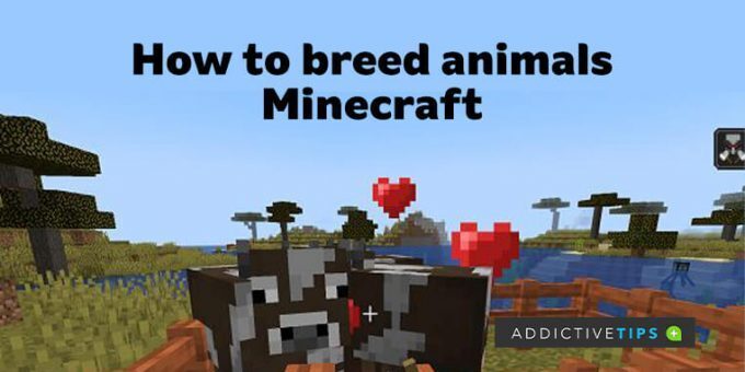 how-to-breed-animals-in-miecraft