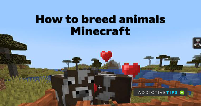 How to Breed Animals in Minecraft Basics of Feeding in Minecraft