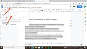 How-to-indent-a-paragraph-on-Google-docs-2