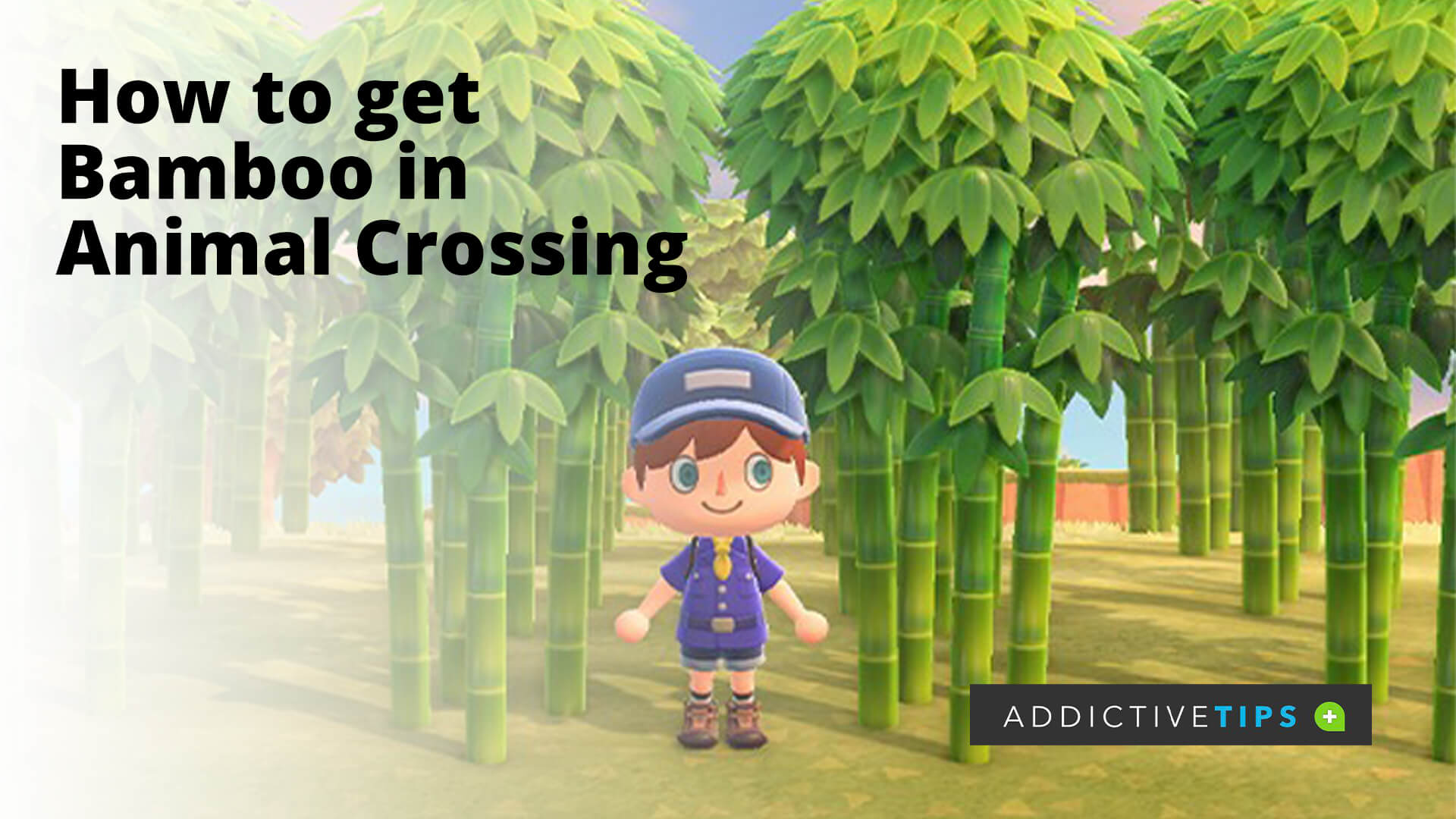 How to Get Bamboo in Animal Crossing New Horizons