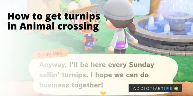 How-to-get-turnips-in-Animal-crossing