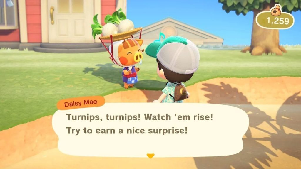 How to Plant Turnips in Animal Crossing New Horizons