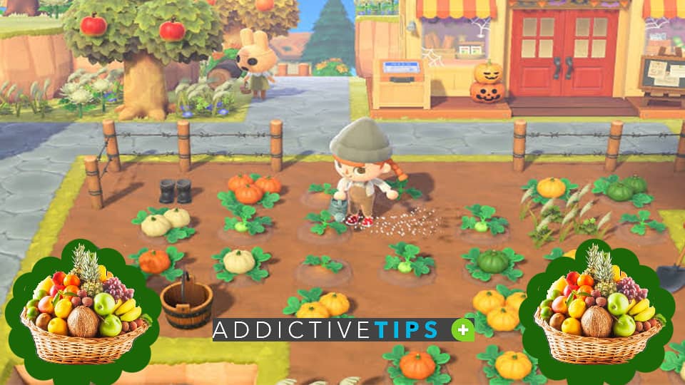 How to Get Different Fruits in Animal Crossing New Horizons