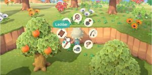 Climb-in-Animal-Crossing