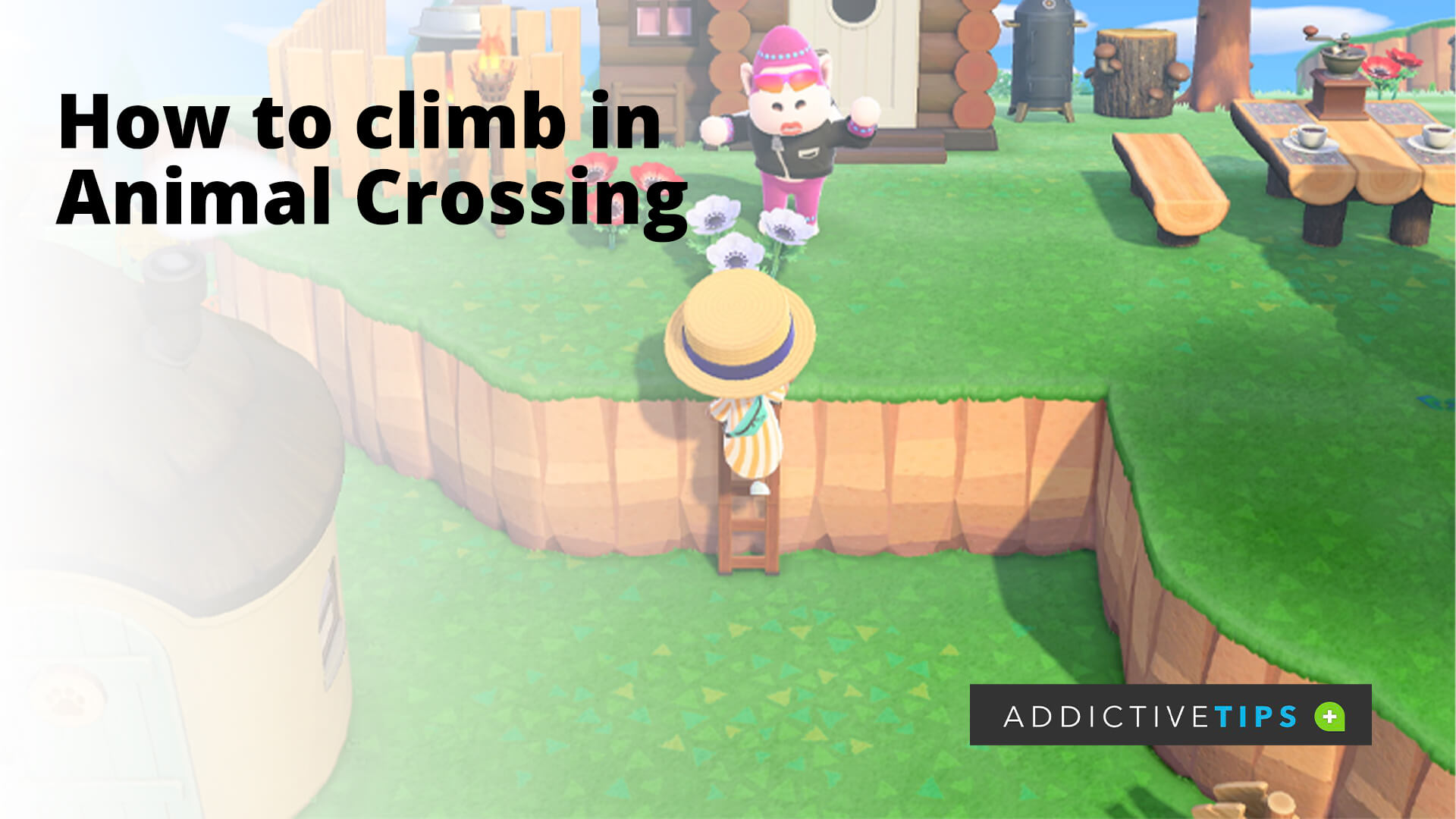 How to Climb in Animal Crossing New Horizons