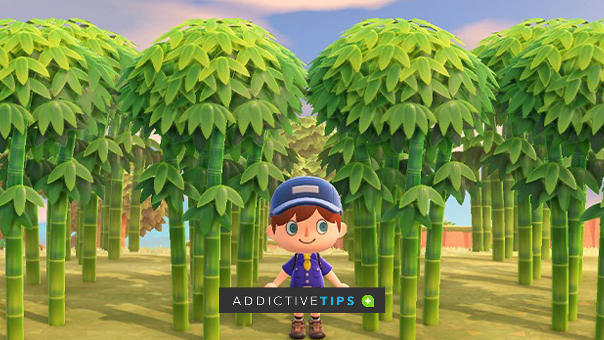 How to Plant Bamboo in Animal Crossing New Horizons