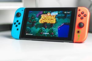 image-of-animal-crossing-on-nintendo-switch