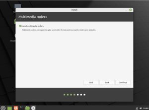 How to Install Linux Mint 21 with manual partitions