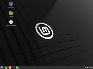 How to Install Linux Mint 21 with manual partitions