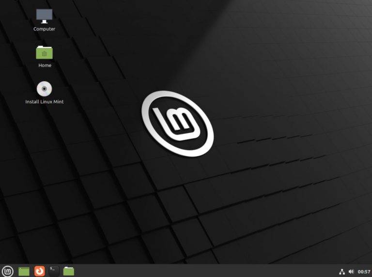How to Install Linux Mint 21 with manual partitions