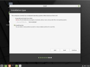 How to Install Linux Mint 21 with manual partitions