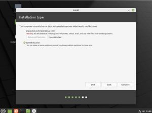 How to Install Linux Mint 21 with manual partitions