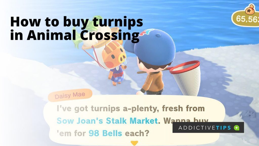 How to buy turnips Animal Crossing Everything You Need to Know