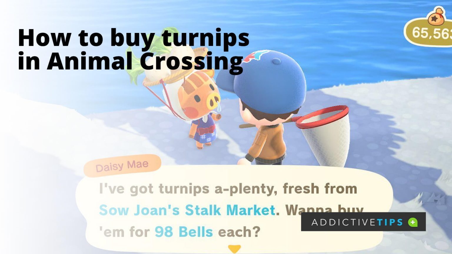 How to buy turnips Animal Crossing Everything You Need to Know