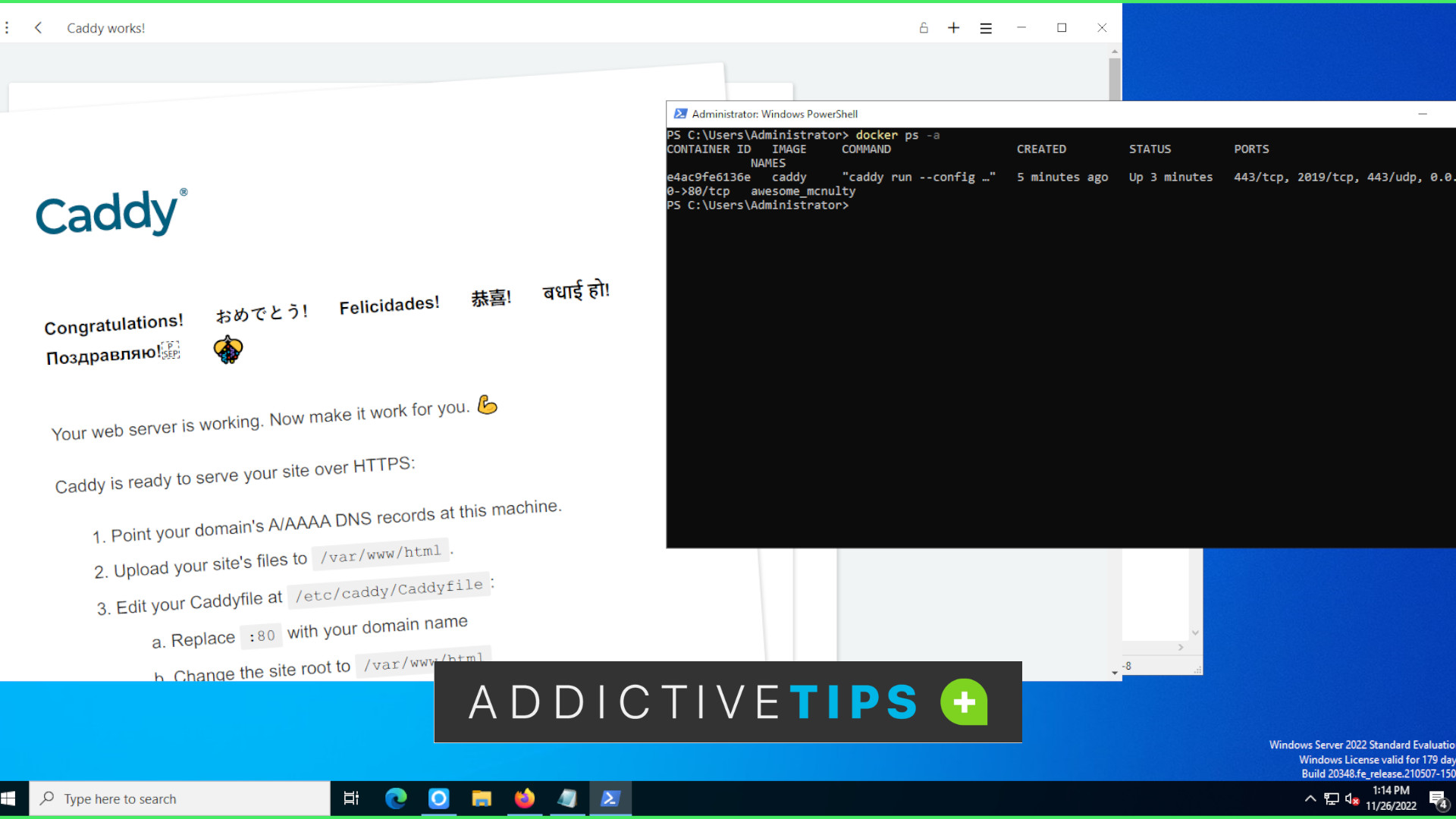 trekant shuffle pianist Run the Caddy web server on Windows Server - Addictive Tips Guide