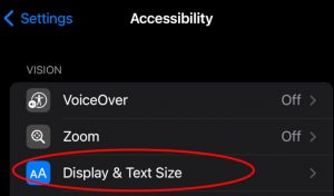iPhone accessibility screen