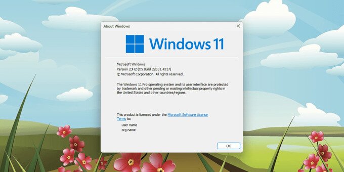 Windows Version showing Windows 11