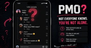 pmo meaning