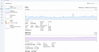 Windows Task Manager performance overview